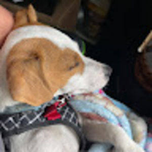 Meet your Posher, Isabelle